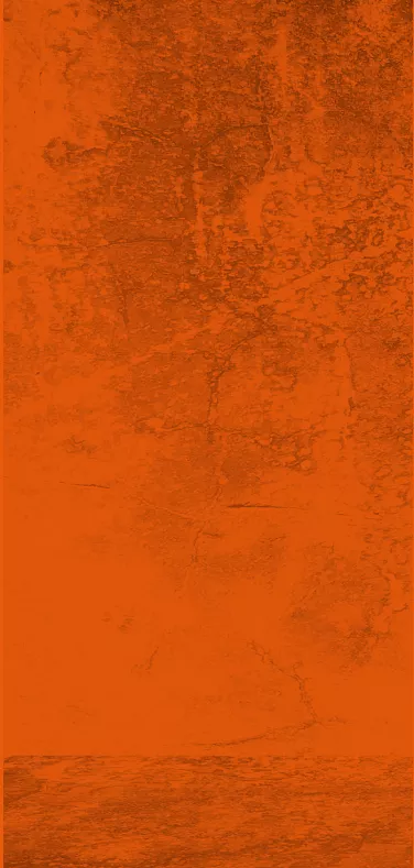 Términos y Condiciones Malta Leona